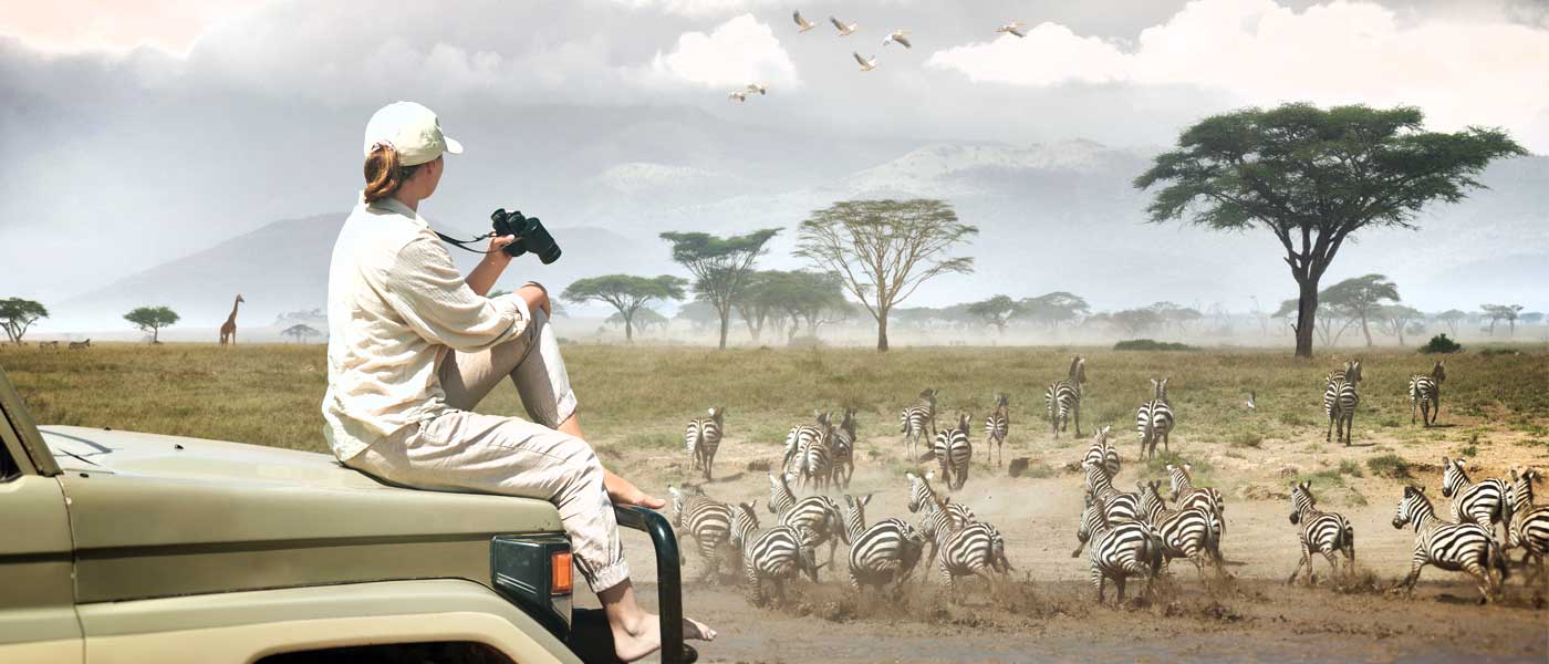 6-Day Majestic Tanzania Wildlife Luxury Safari
