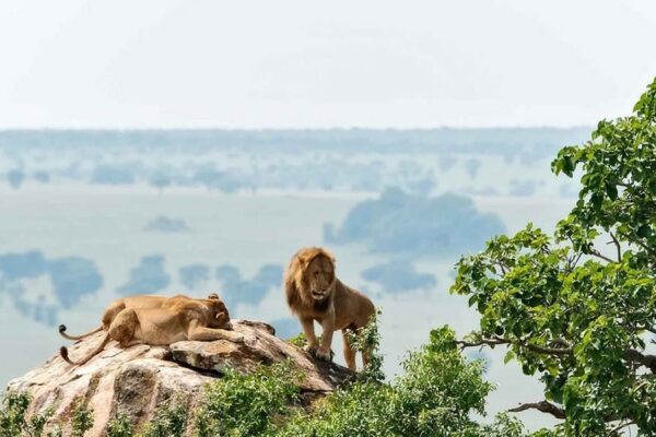 Kidepo-valley-national-park (2) Kidepo Valley National Park