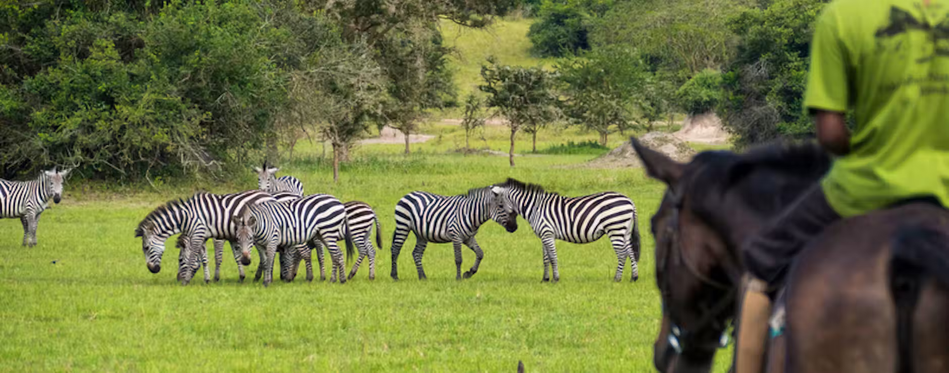 Lake Mburo National Park