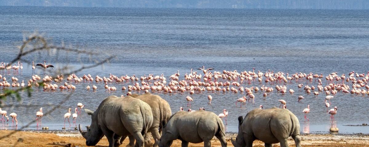 Lake Nakuru National Park