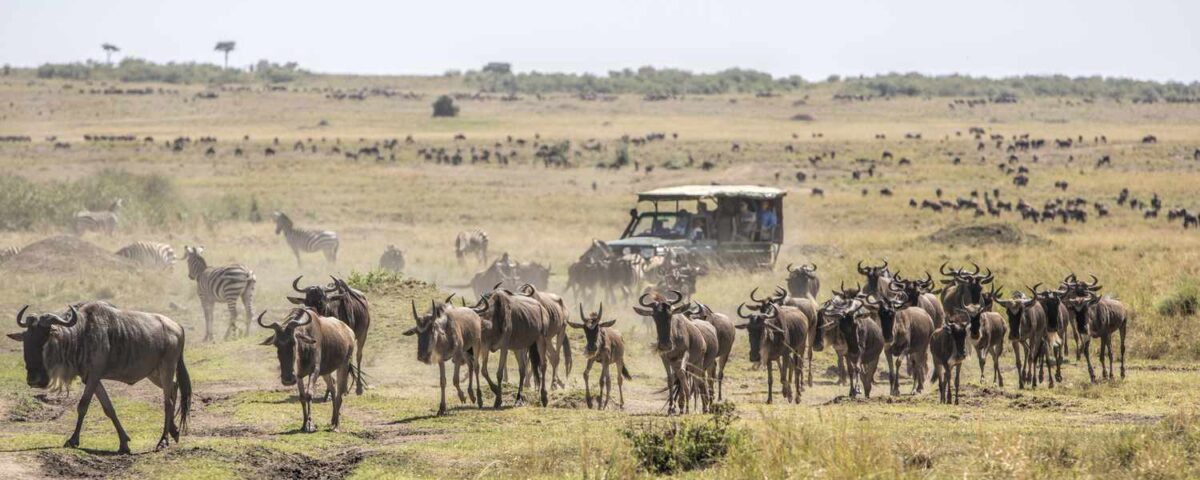 Masai Mara National Reserve