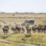 Masai Mara National Reserve