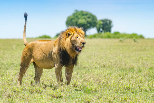 Queen Elizabeth National Park1 Queen Elizabeth National Park