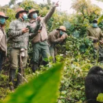 Rwanda Gorilla Safaris