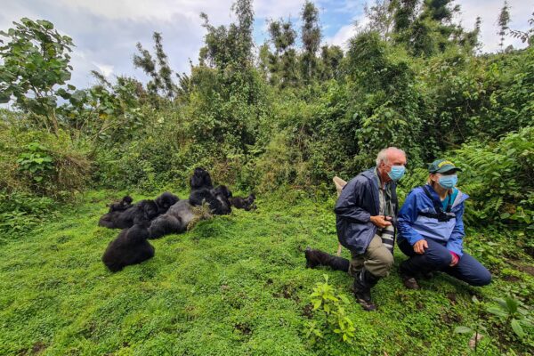 Rwanda - Gorilla Trekking. Photo Credit - Kate Webster