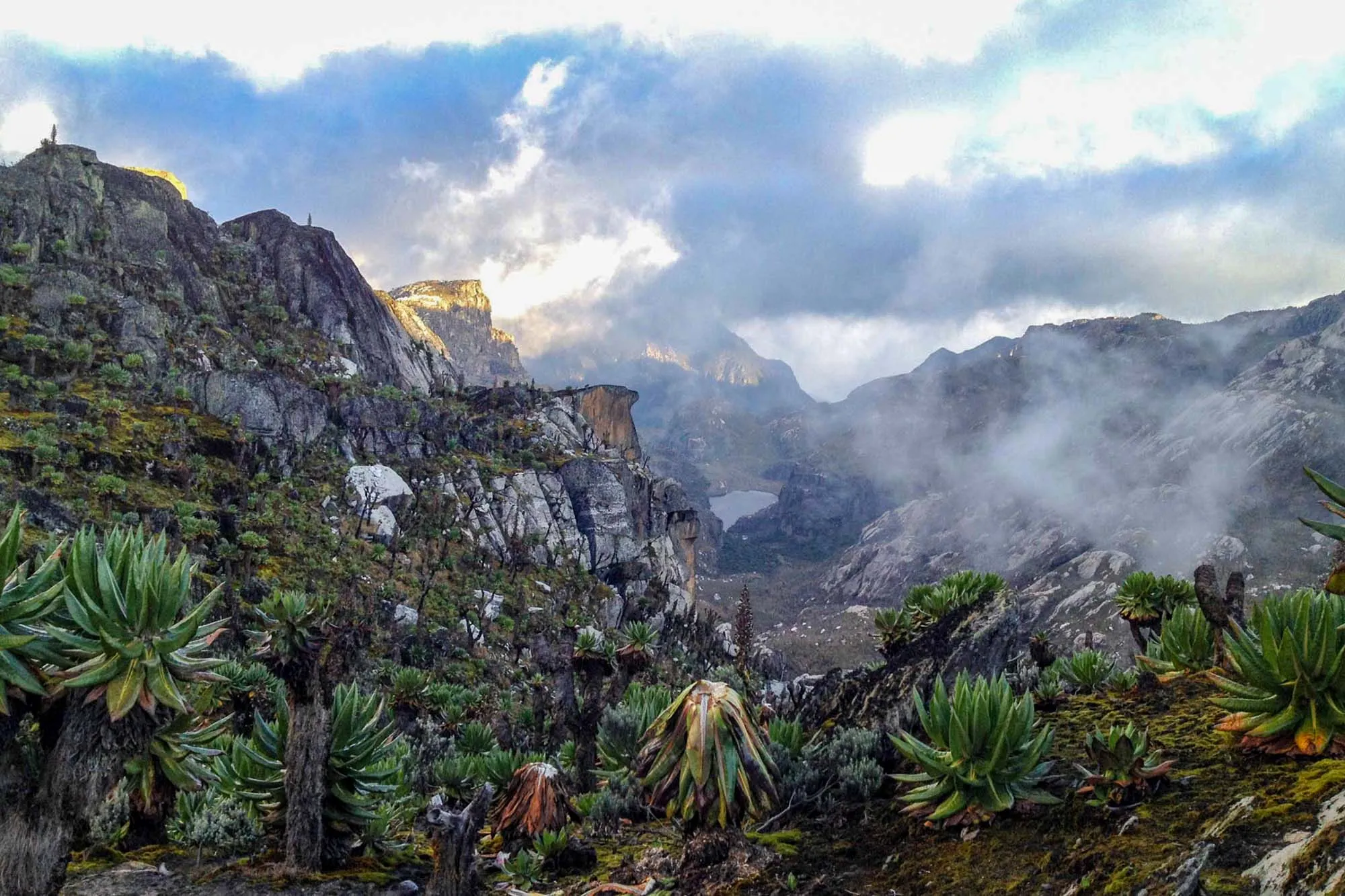 Rwenzori Mountains National Park