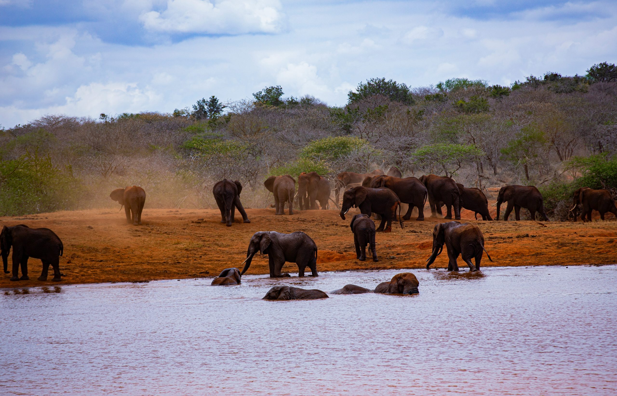 Tsavo West National Park