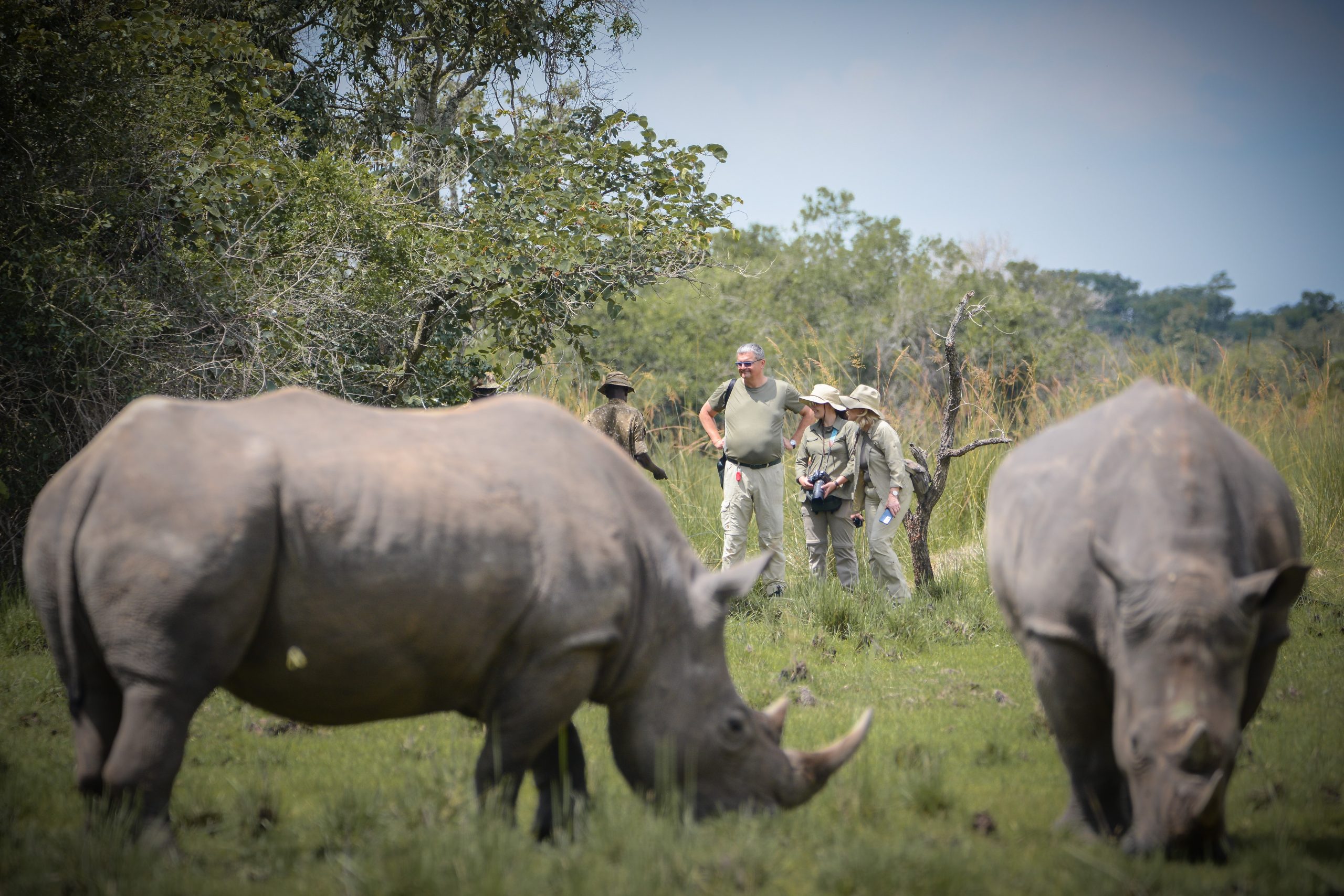 Ziwa Rhino Sanctuary