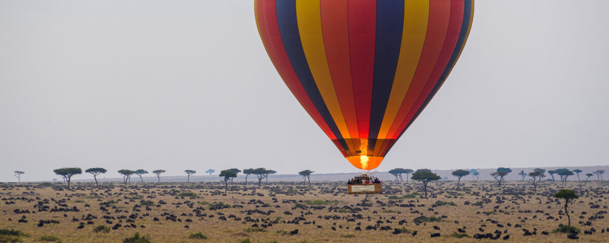 Balloon Safaris