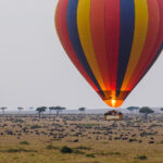 Balloon Safaris
