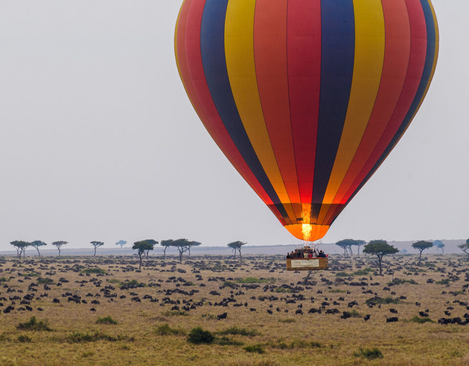 Balloon Safaris