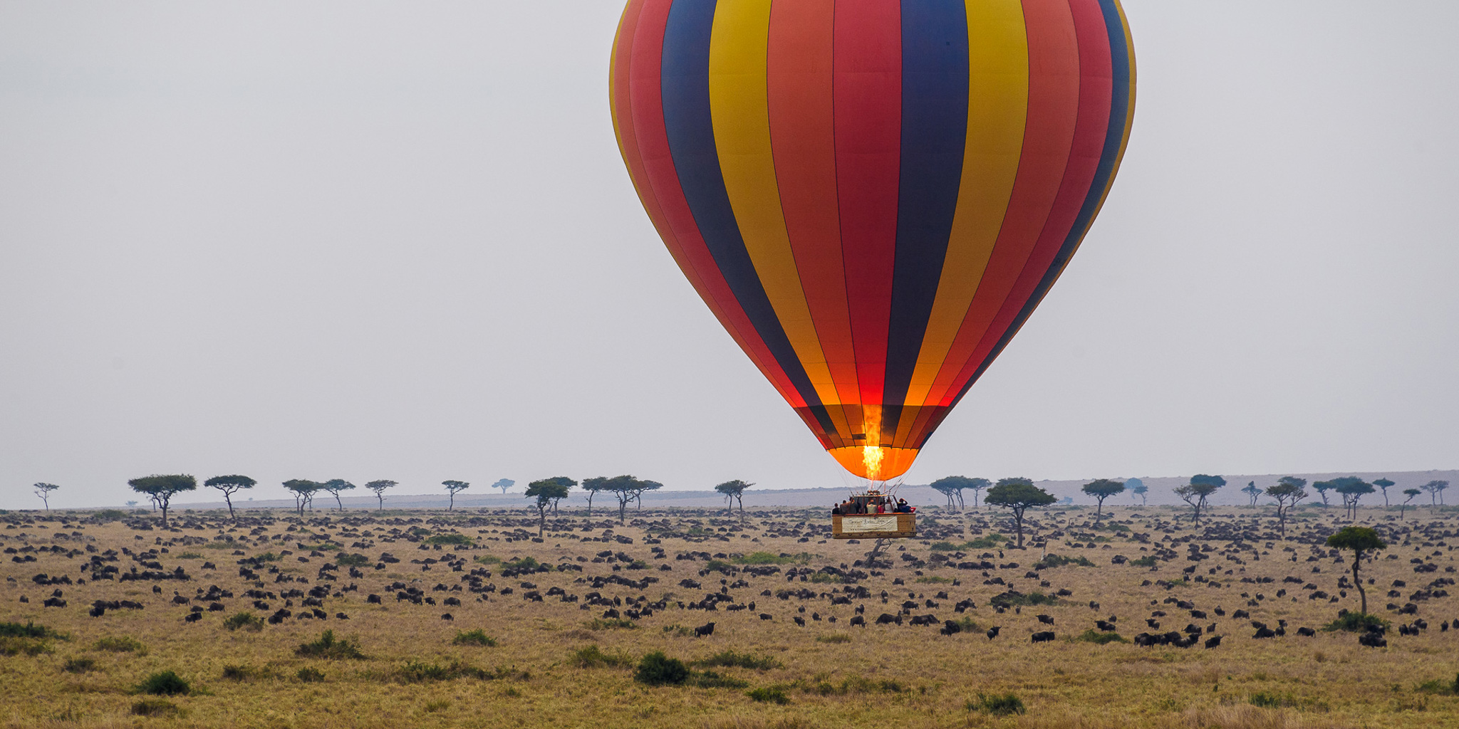 Balloon Safaris