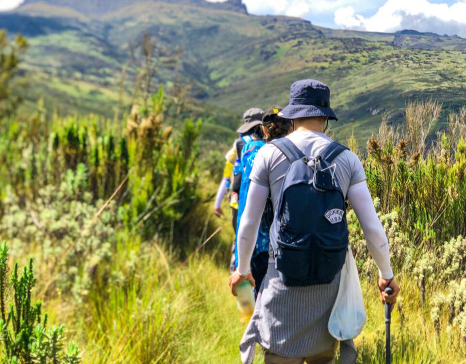 Mount Elgon National Park