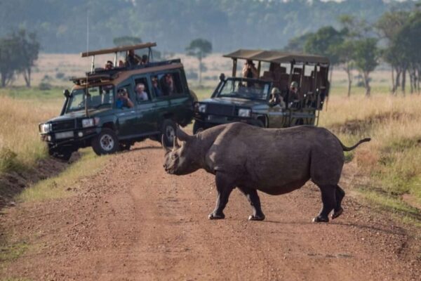 10-Day Kenya Adventure Safari 10-Day Kenya Adventure Safari