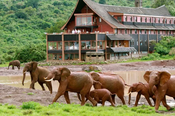 9-Day Luxury Big Kenya Safari Holiday 9-Day Luxury Big Kenya Safari Holiday