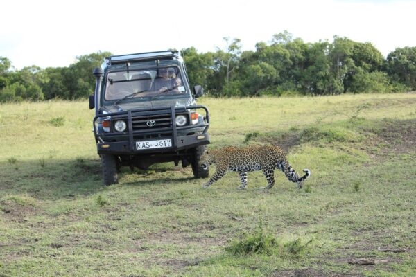 9-Day Unforgettable Kenya Game Drive Safari 9-Day Unforgettable Kenya Game Drive Safari