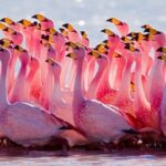 Is Hiking Safe in Wildlife Parks