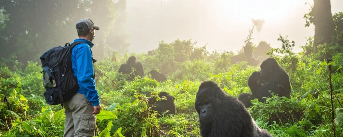 5 Days Rwanda Gorilla Trekking & Primate Safari