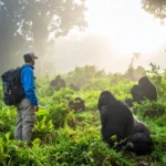 5 Days Rwanda Gorilla Trekking & Primate Safari